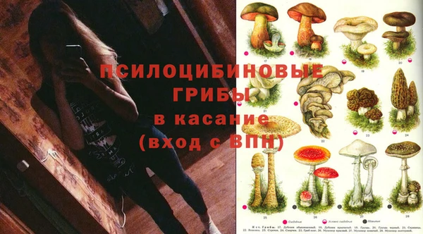 дурь Волосово