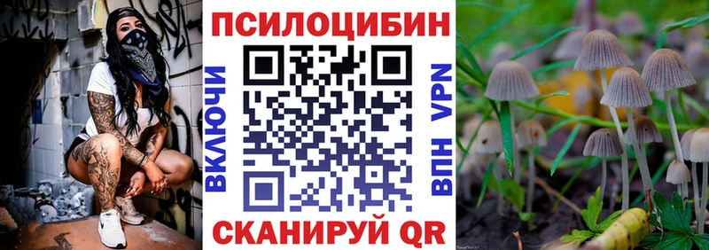 Псилоцибиновые грибы Psilocybine cubensis Знаменск